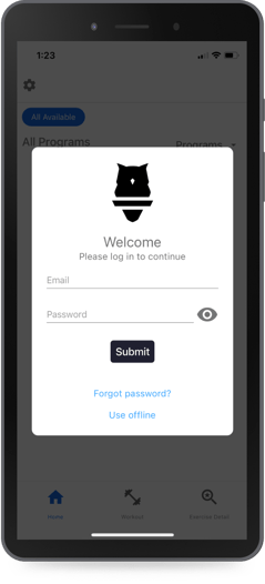 Mobile login screenshot